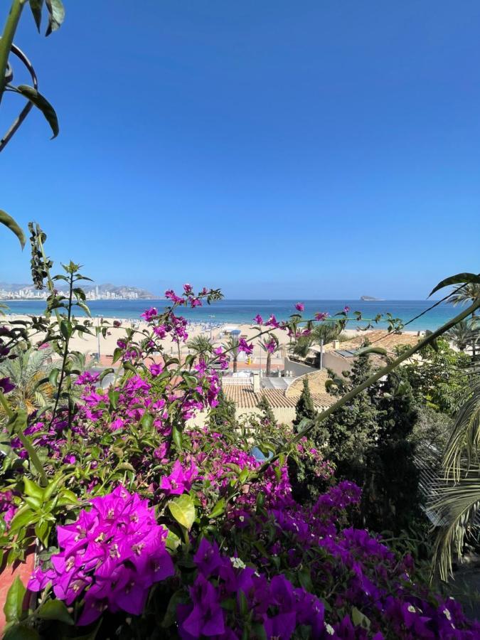 Apartamentos Bahia Benidorm Exteriör bild